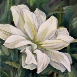 White lily in light, minimal floral composition in oil on canvas