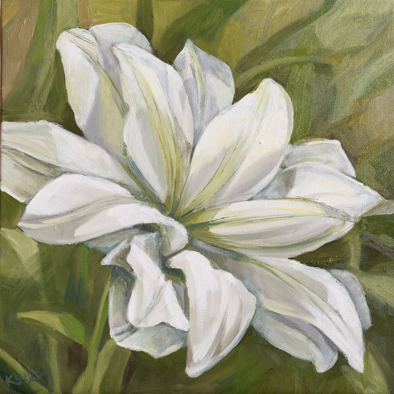 Lily in Light, oil painting of a single white lily flower in soft natural light, 40x40 cm, contemporary floral artwork by Kateryna Struzhko