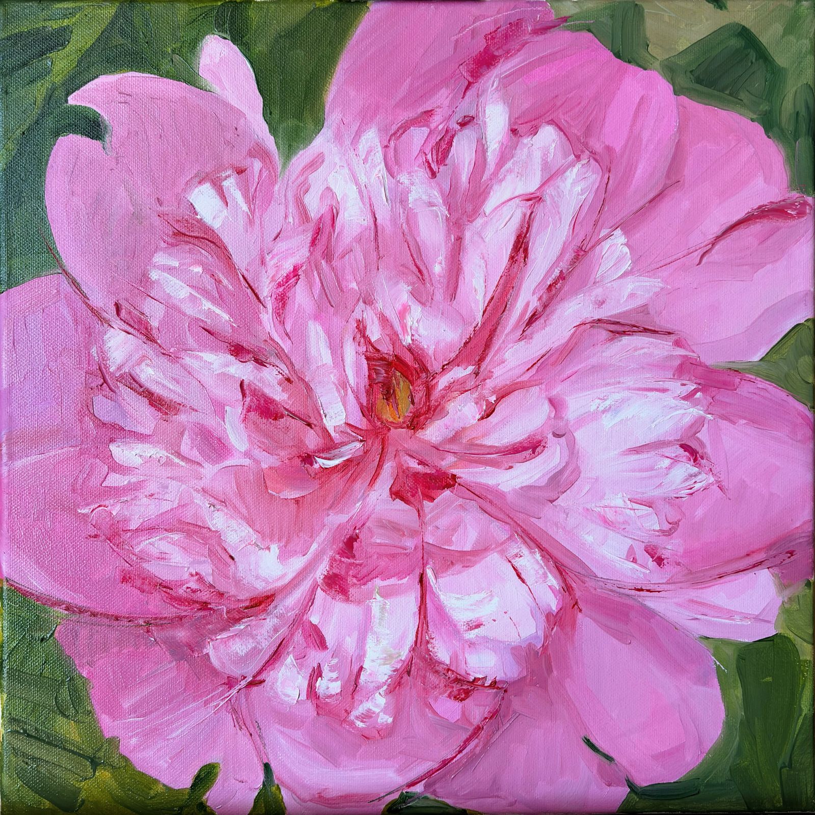 Fragile Bloom, oil painting of barbie pink peony flower in soft light, 40x40 cm, contemporary floral artwork by Kateryna Struzhko
